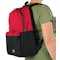 Champion Colorblock Backpack - Other View: 1