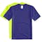 Hanes Cool Dri Performance Shirt