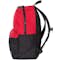 Champion Colorblock Backpack - Other View: 3
