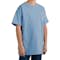 Hanes Youth 100% Cotton T-shirt - Other View: 1