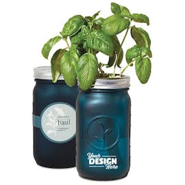 Modern Sprout Indoor Herb Garden Kit