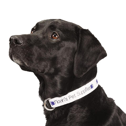 Full Color Adjustable Pet Collar