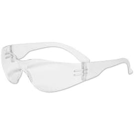 Monteray Clear Protective Glasses