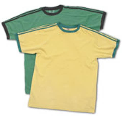 Authentic Pigment Dyed Double Stripe T