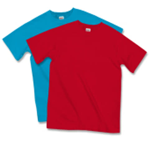 Anvil 100% Cotton T-shirt