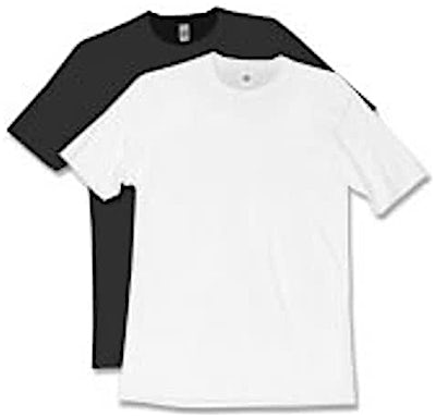Canada - American Apparel Fitted T-shirt