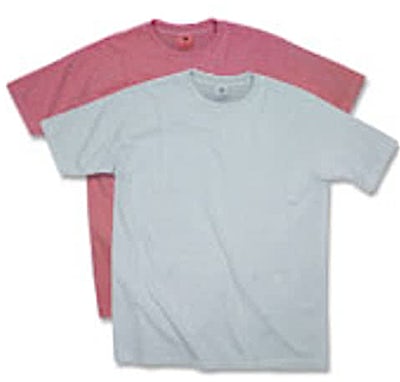 Authentic Pigment 100% Cotton T-shirt