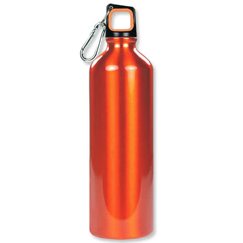 25 oz. Aluminum Water Bottle
